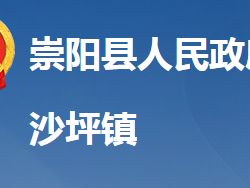 崇阳县沙坪镇人民政府