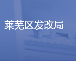 济南市莱芜区发展和改革局