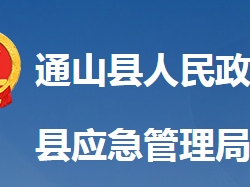 通山县应急管理局