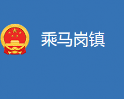 麻城市乘马岗镇人民政府