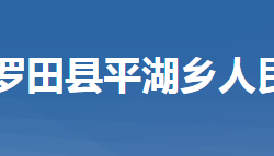 罗田县平湖乡人民政府"