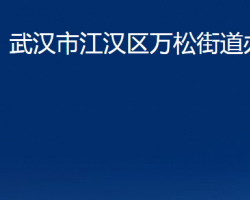 武汉市江汉区万松街道办事处