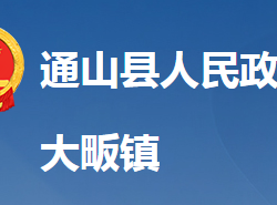 通山县大畈镇人民政府"