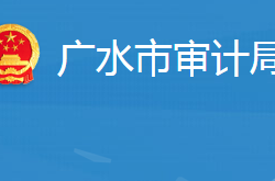 广水市审计局