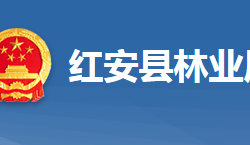 红安县林业局