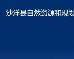 沙洋县自然资源和规划局