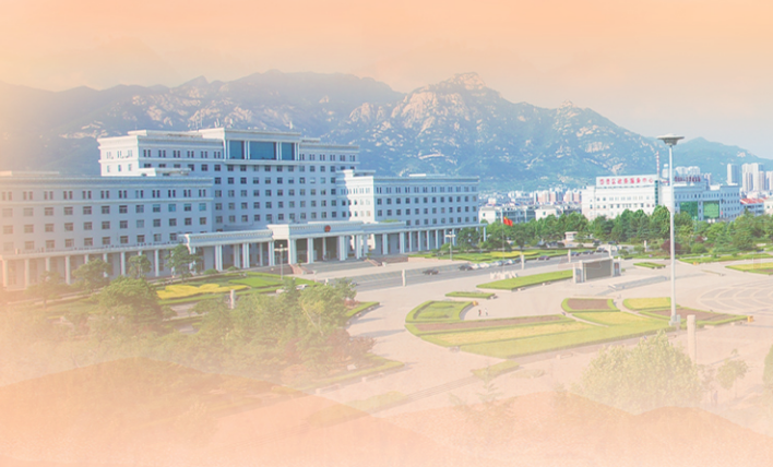 泰安市岱岳区人民政府