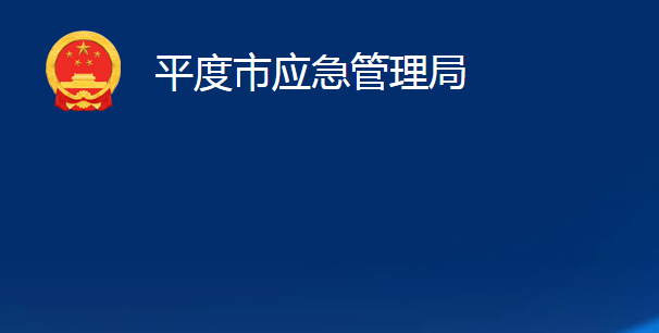 平度市应急管理局