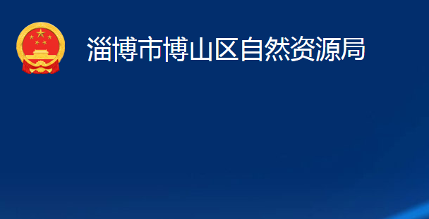 淄博市博山区自然资源局