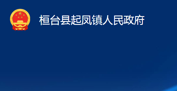 桓台县起凤镇人民政府