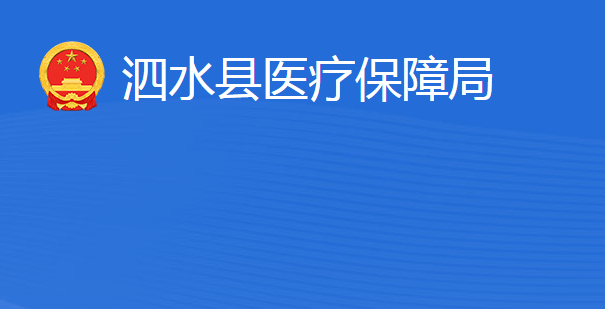 泗水县医疗保障局