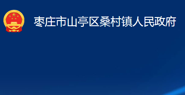 枣庄市山亭区桑村镇人民政府