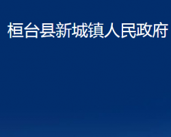 桓台县新城镇人民政府