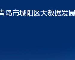 青岛市城阳区大数据发展管