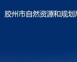 胶州市自然资源和规划局