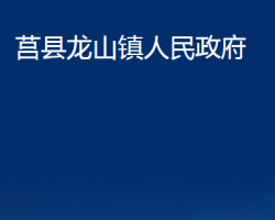 莒县龙山镇人民政府政务服务网