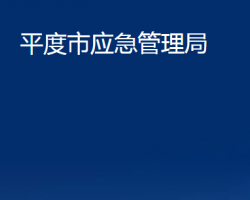 平度市应急管理局