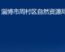 淄博市周村区自然资源局