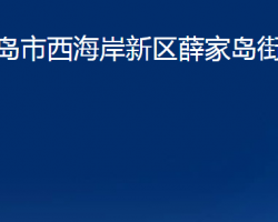 青岛市西海岸新区薛家岛街道办事处