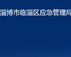 淄博市临淄区应急管理局