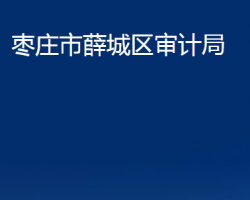 枣庄市薛城区审计局