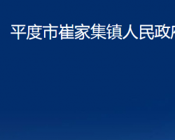 平度市崔家集镇人民政府