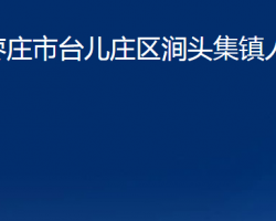 枣庄市台儿庄区涧头集镇人民政府