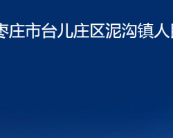 枣庄市台儿庄区泥沟镇人民政府