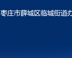 枣庄市薛城区临城街道办事处