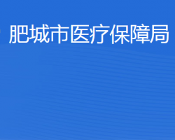 肥城市医疗保障局