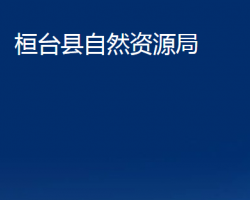 桓台县自然资源局