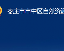 枣庄市市中区自然资源局