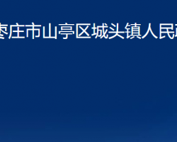 枣庄市山亭区城头镇人民政府