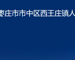 枣庄市市中区西王庄镇人民政府