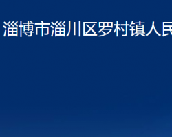 淄博市淄川区罗村镇人民政府