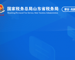 泰安高新技术产业开发区税