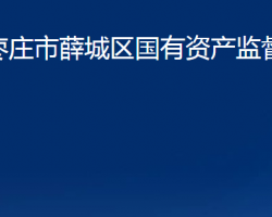 枣庄市薛城区国有资产监督