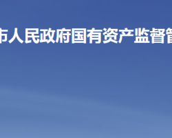 济宁市人民政府国有资产监