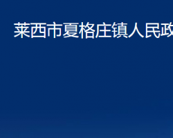 莱西市夏格庄镇人民政府政务服务网