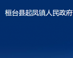 桓台县起凤镇人民政府