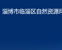 淄博市临淄区自然资源局