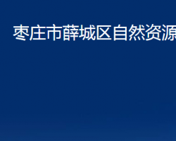 枣庄市薛城区自然资源局