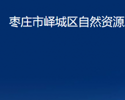 枣庄市峄城区自然资源局