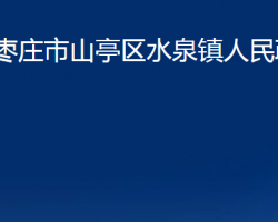 枣庄市山亭区水泉镇人民政府