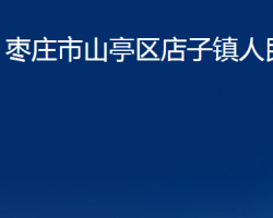 枣庄市山亭区店子镇人民政府