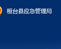 桓台县应急管理局