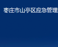 枣庄市山亭区应急管理局