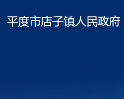 平度市店子镇人民政府