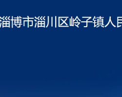 淄博市淄川区岭子镇人民政府