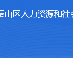 泰安市泰山区人力资源和社